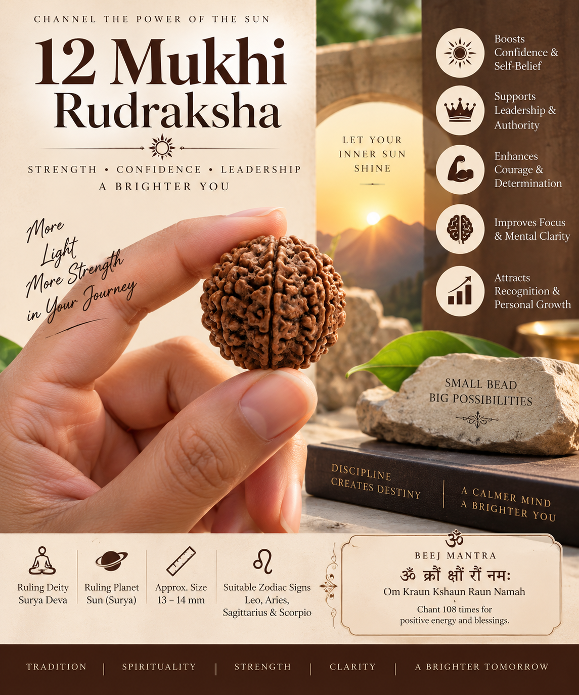 12 Mukhi Rudraksha | Surya Rudraksha for Strength, Confidence & Leadership