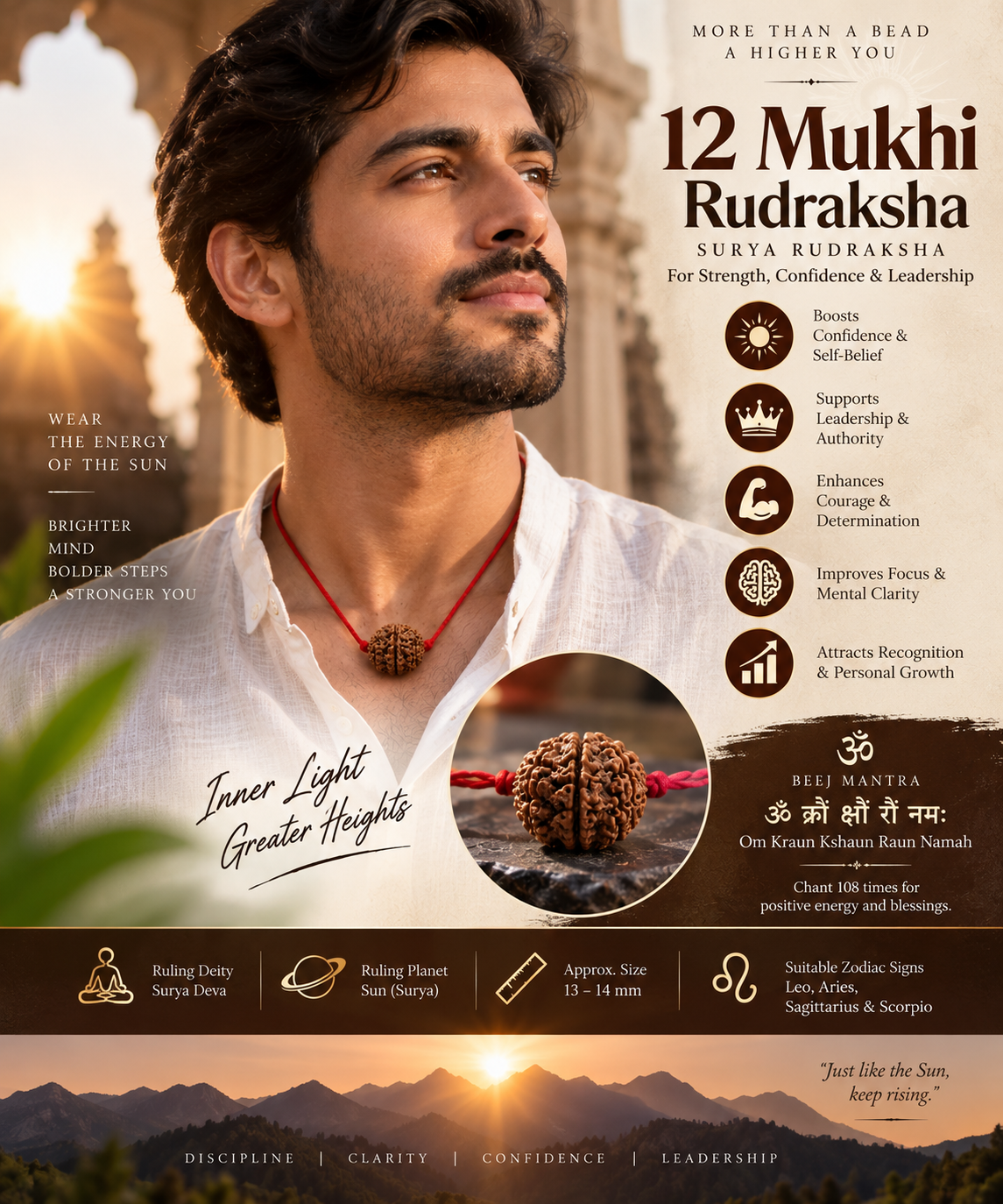 12 Mukhi Rudraksha | Surya Rudraksha for Strength, Confidence & Leadership