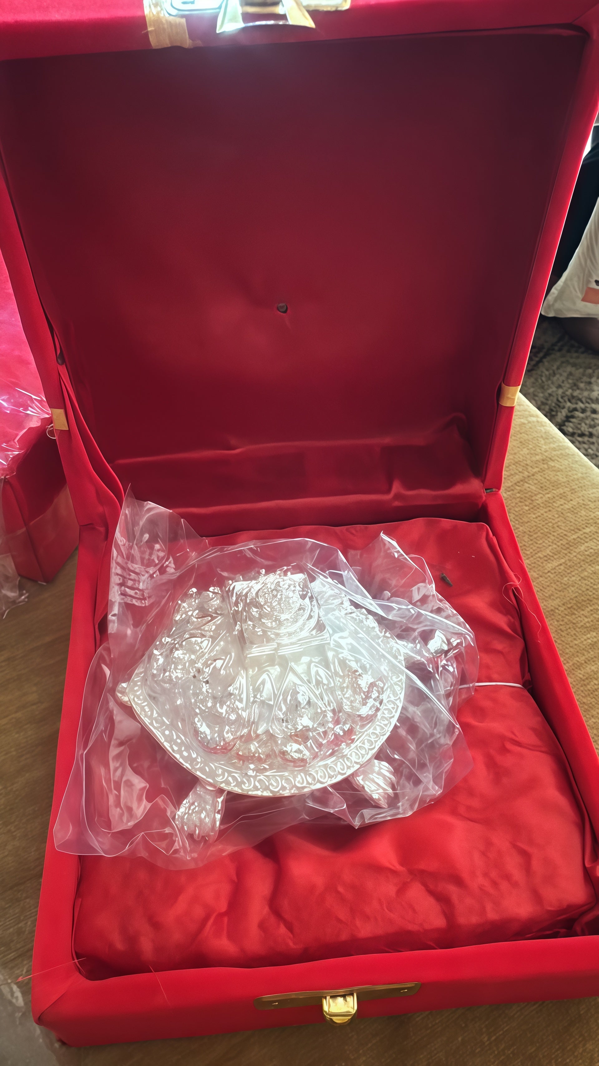 Fortune-Changing Lucky Turtle – Blessed from Kolhapur Mahalakshmi Temple ✨