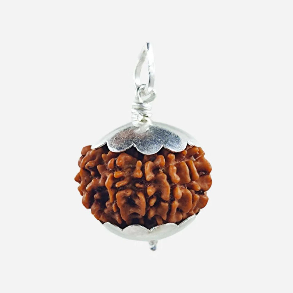 Original Nepali 7 Mukhi Rudraksha Pendant – Natural, Energized & Sacred